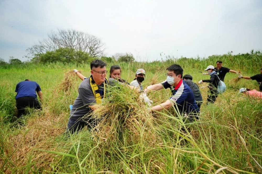 低碳志工假期守護生態環境　永豐餘推動舊鐵橋濕地保育