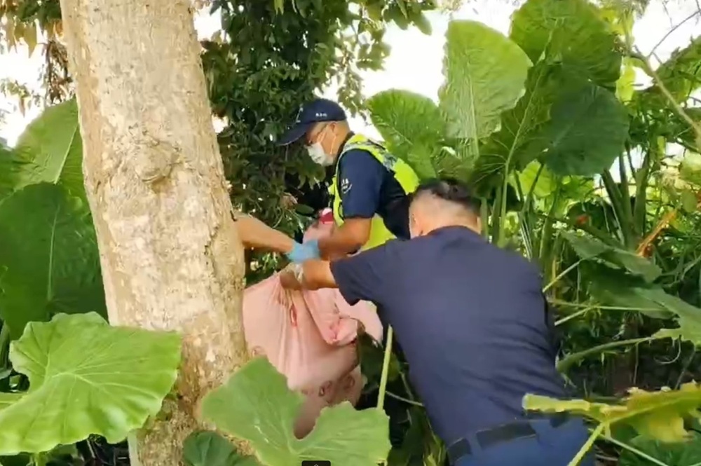 9旬失智嫗走失2日　機車沿溪搜尋警所長草叢中找到人