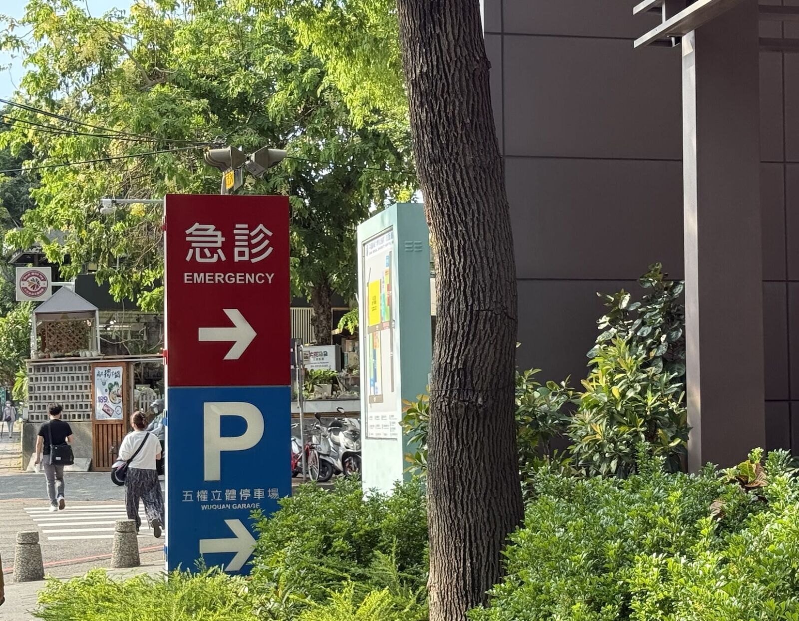 她為《神奇寶貝》小智配音！劇烈頭痛昏迷 逃過動脈瘤破裂危機