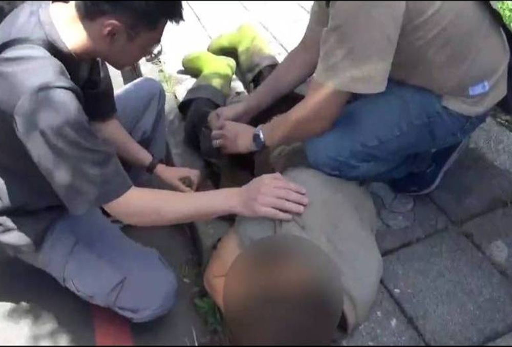 抓到「山老鼠」了　桃園警跨縣市追緝盜伐集團全落網