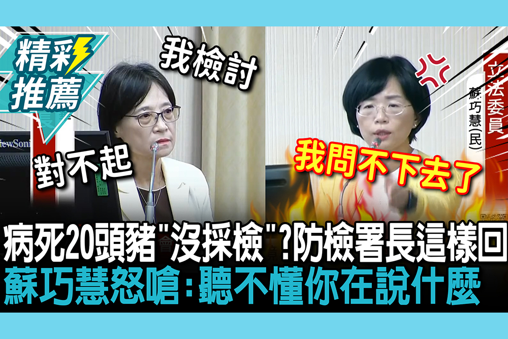 【CNEWS】病死20頭豬「沒採檢」?防檢署長喊「異常」這樣回 蘇巧慧怒嗆:聽不懂你在說什麼