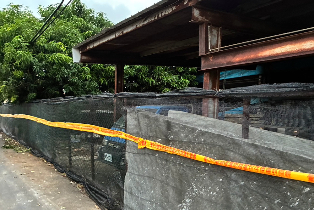 非洲豬瘟2輪防疫階段 陳大田:增設疫區圍網堵擴散