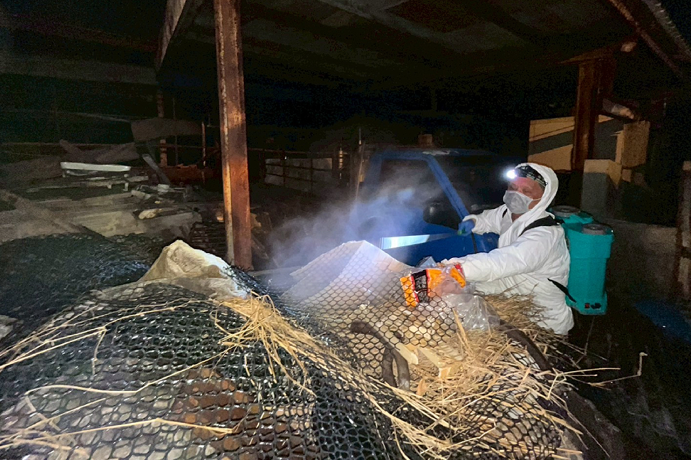 全面防堵非洲豬瘟　黃健豪：該負責就要負責