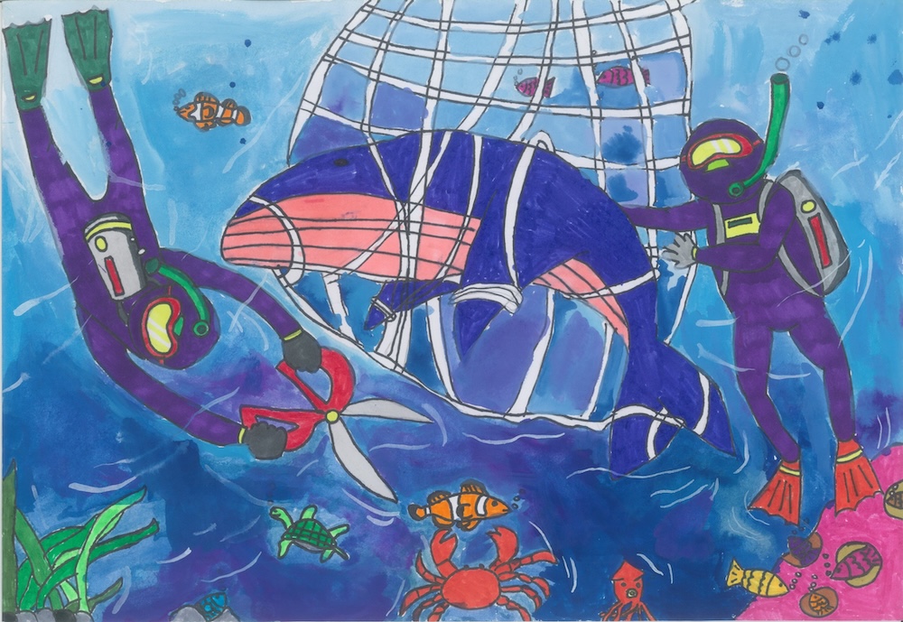 國家海洋研究院最新調查　國人海洋保護意識提升、行動仍待落實