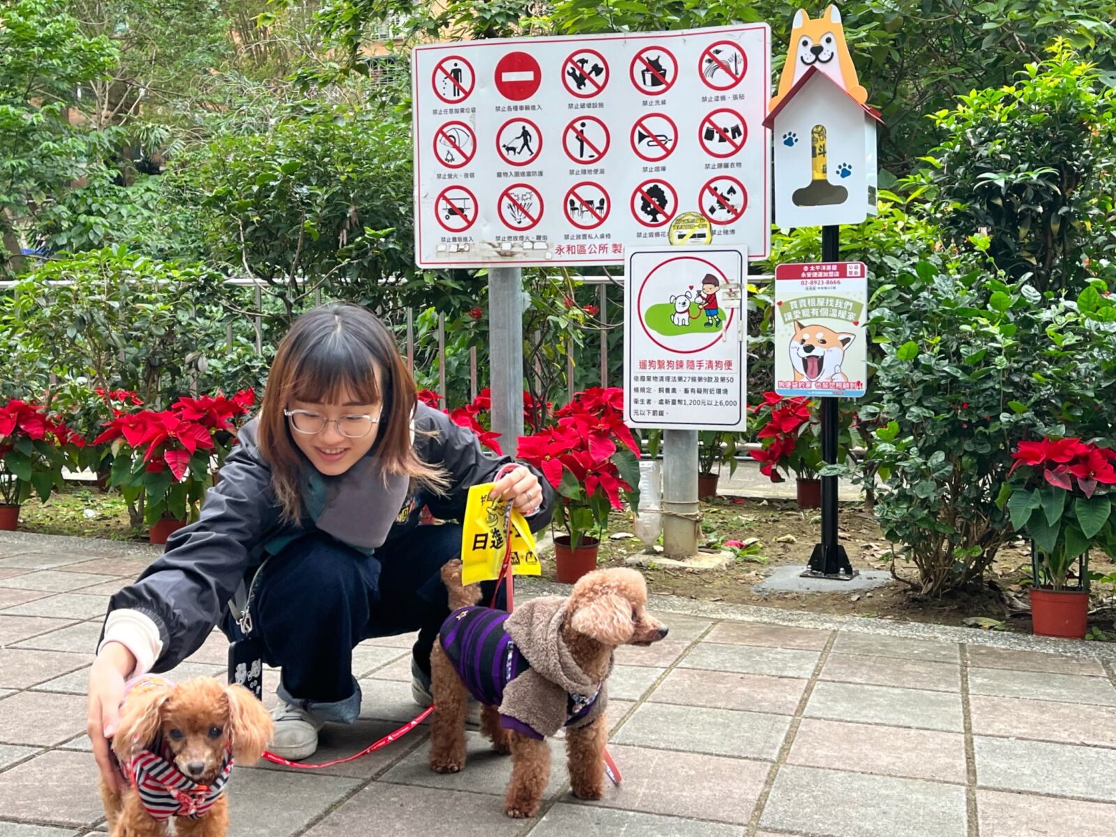 【有影】新北環保局擴增狗便（袋）箱　設置276座讓公園、街道更乾淨