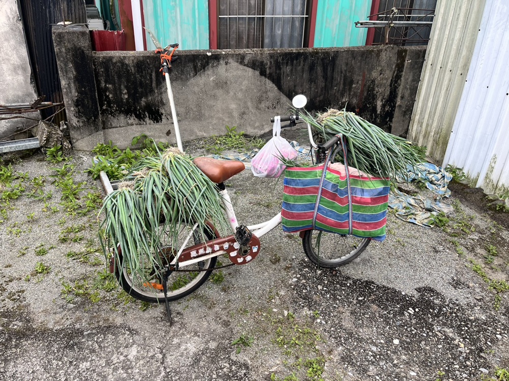 手遊皮克敏現實版　花蓮搬運男涉連偷3車四處載盆栽
