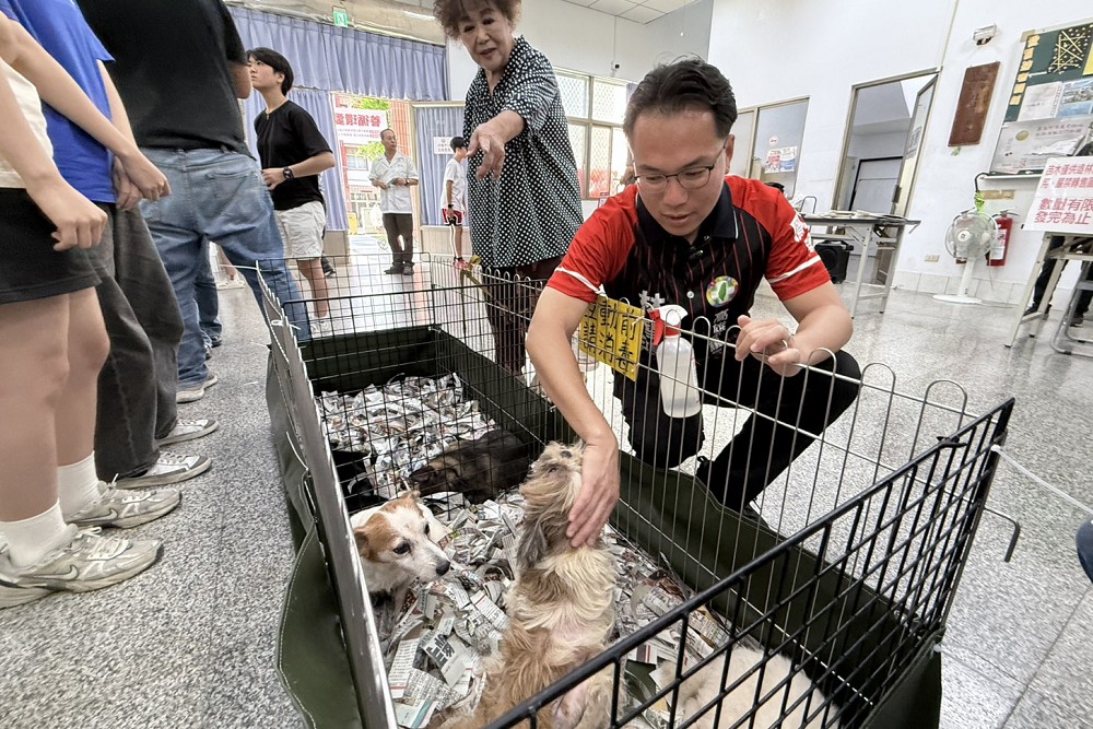 成功爭取「樂陪犬」政策　林智鴻：幫助收容犬訓練轉型多元運用