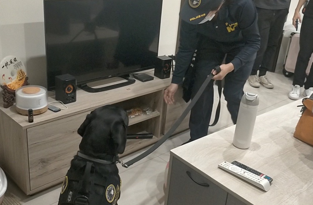 詐團新偽造超商交易平台　打詐再增新成員電子產品偵測犬