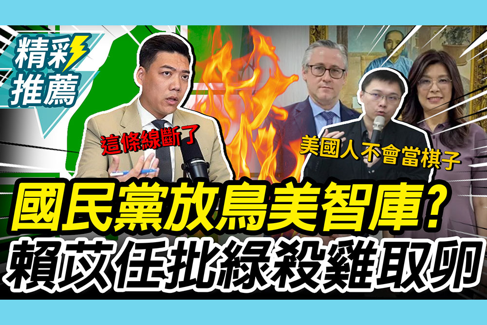 【CNEWS】國民黨放鳥美學者？美智庫主席「這樣回應」 賴苡任批民進黨「殺雞取卵」：這條線斷了