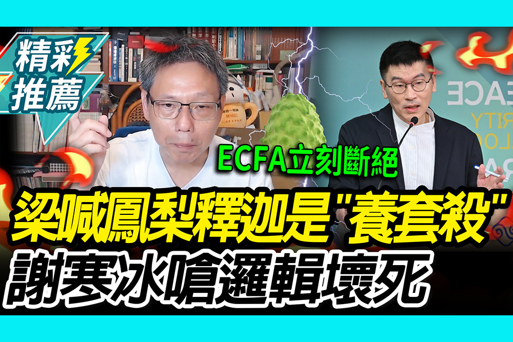【CNEWS】鳳梨釋迦是中國「養套殺」？謝寒冰嗆梁文傑「邏輯壞死」：那ECFA要立刻斷絕