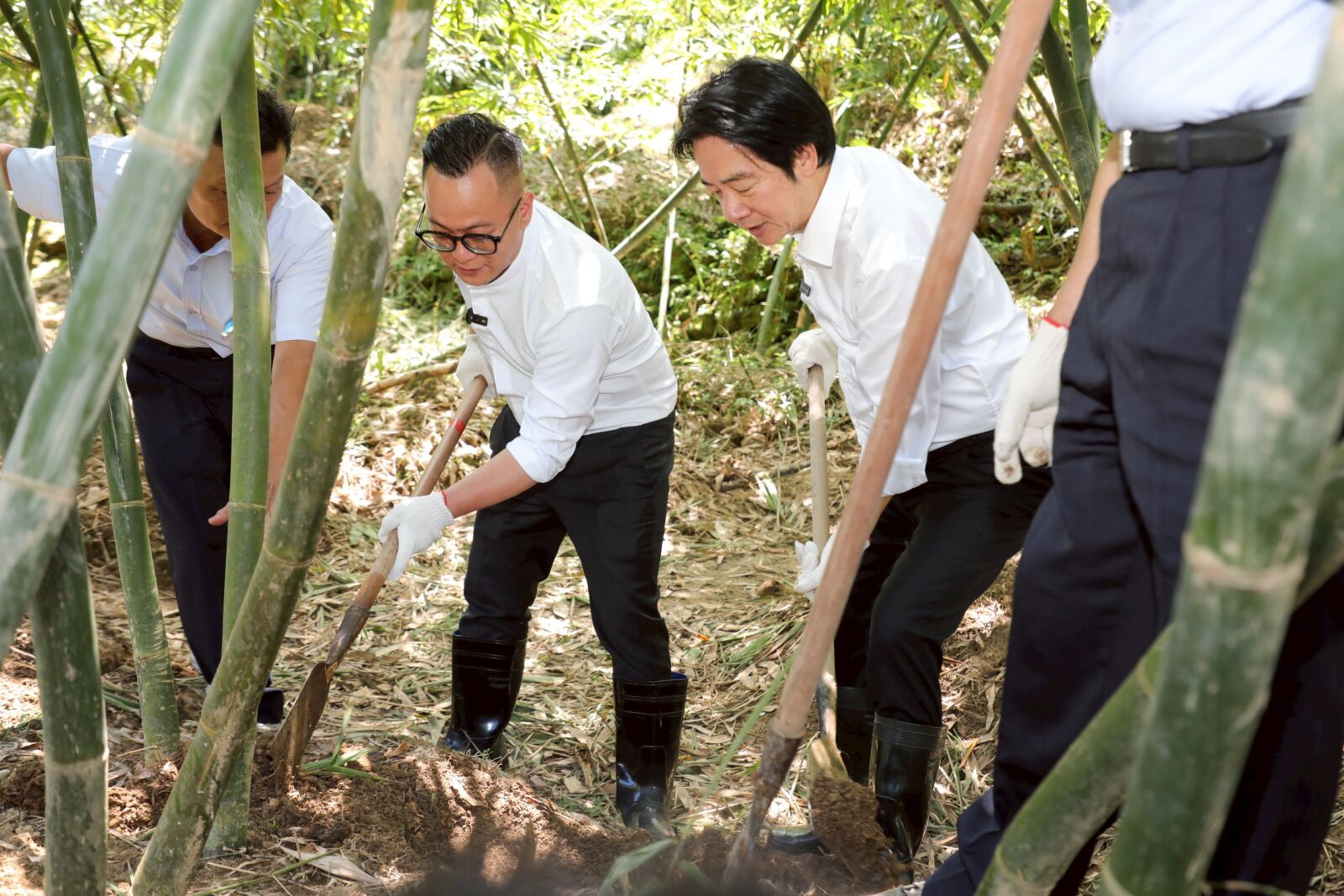 參訪泰安市民農園　童子瑋「嗆聲」賴清德：基隆農產品質不輸台南