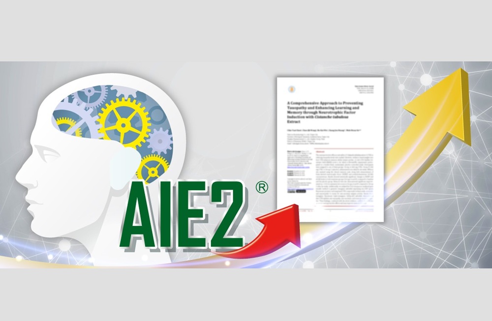 20年研究登上國際期刊　杏輝AIE2人體實驗證明6周顯著提升記憶表現