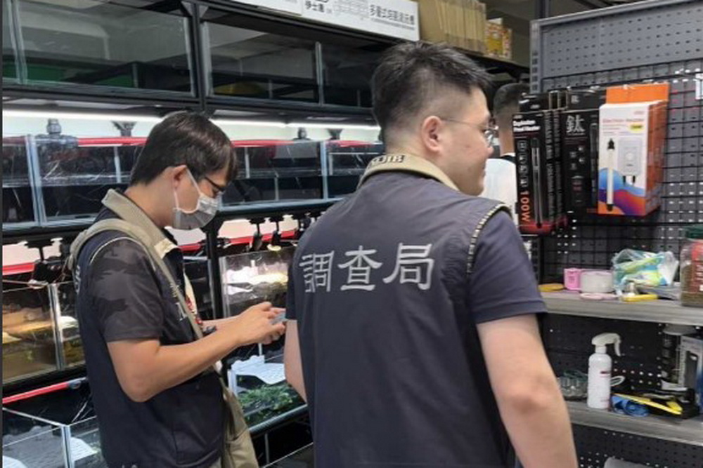 名牌包、鎮痛貼布、印度星龜　調查局聯手關務署、防檢署 打擊跨境走私