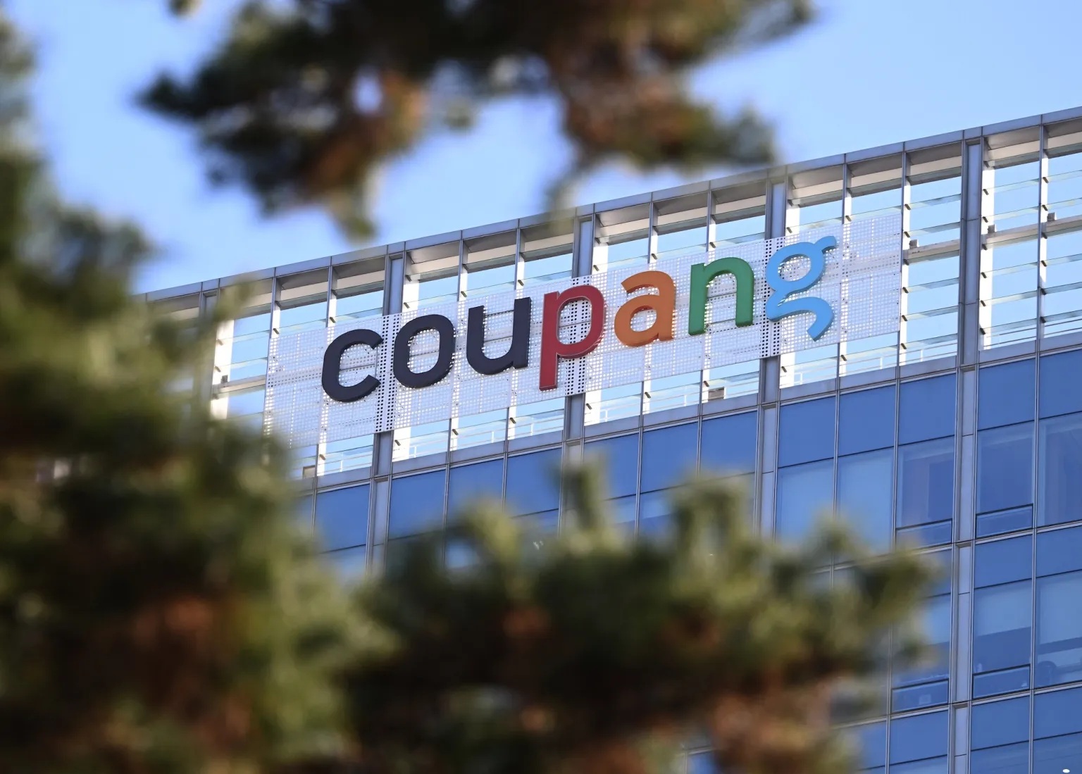 搶攻電競玩家商機　Coupang酷澎攜手WirForce祭首購、盲盒好禮