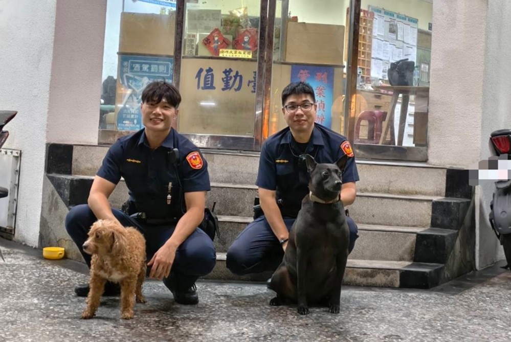 紅貴賓犬雨夜走失　所犬黑醬一聲示警衝出派出所尋回