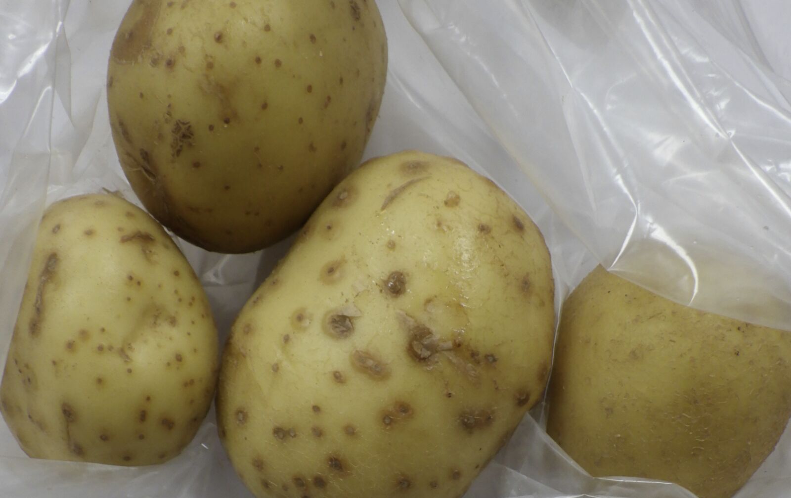 華元食品進口美國「馬鈴薯」龍葵鹼超標！ 食藥署扣下339.5公噸